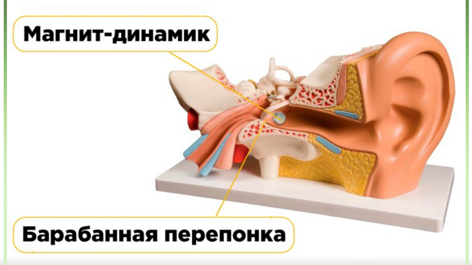 Как выбрать микронаушник?