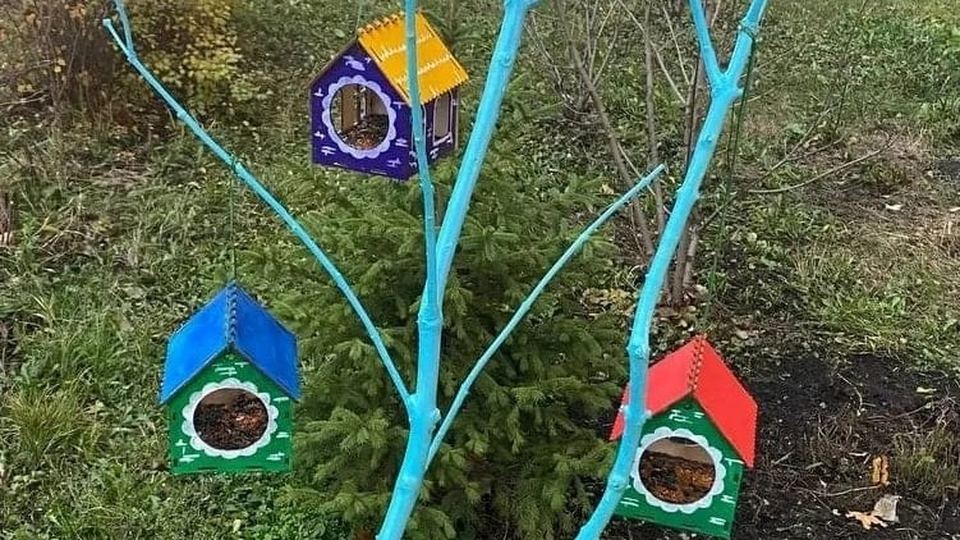 Кормушки для птиц: когда вешать, как выбрать и раскрасить | Животные ...