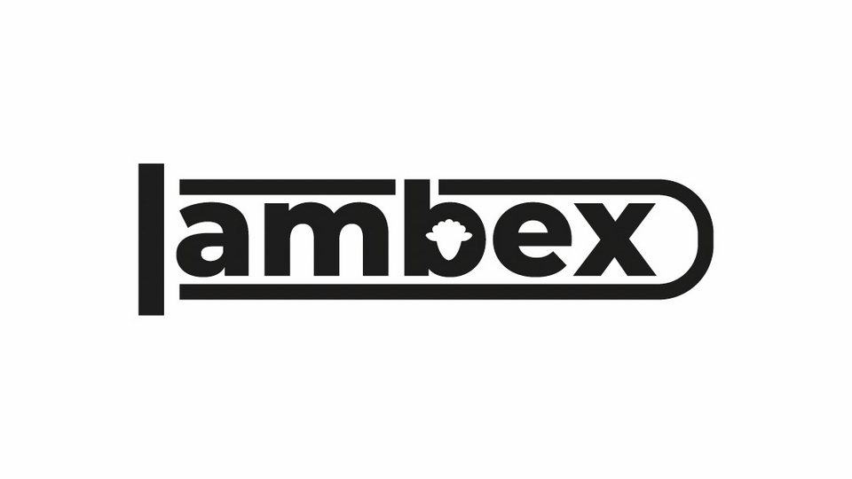 Lambex - защищает. | Для взрослых | WB Guru