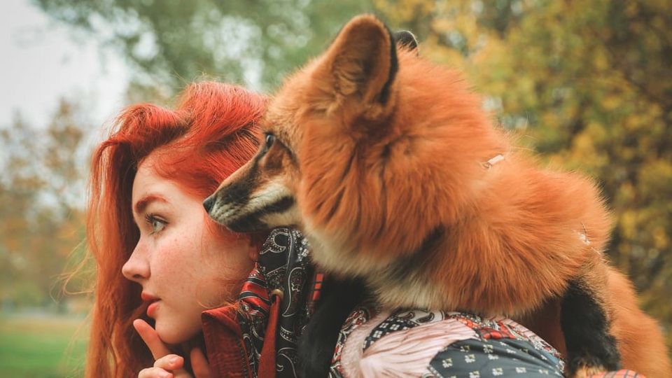 Цветотерапия в одежде-наша фишка! | Стиль | WB Guru