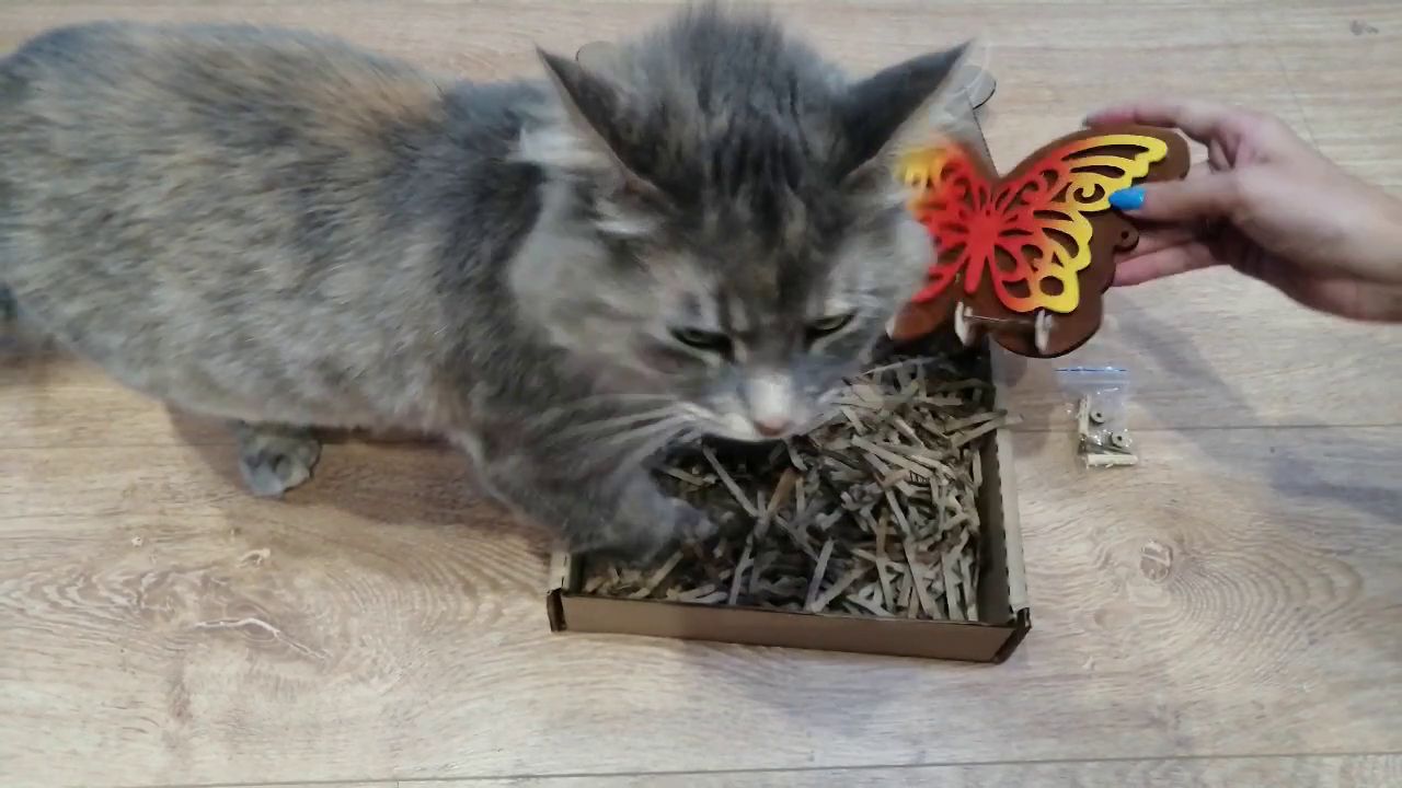 Ключница бабочка и кошка