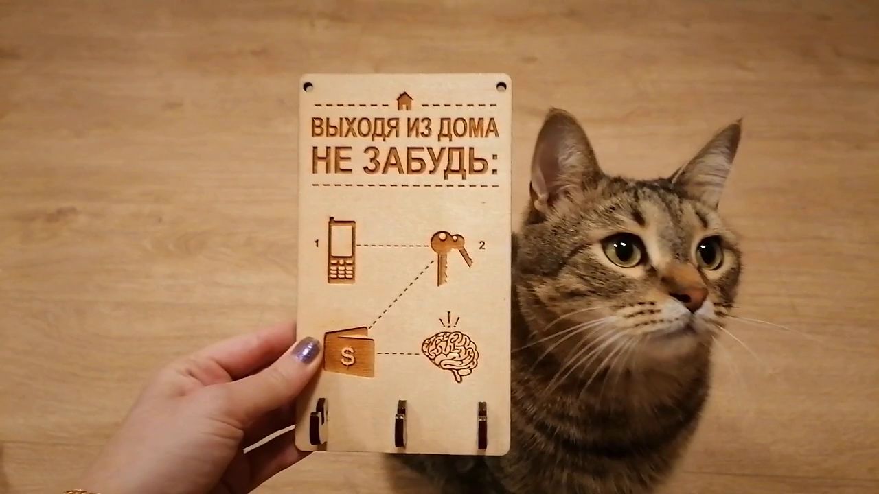 ключница именная. Кот делает распаковку