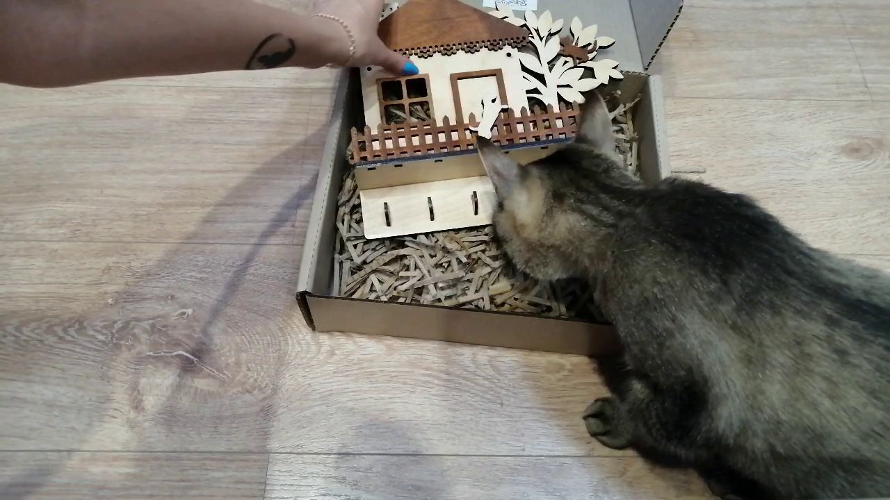 Ключница. Распаковка котом