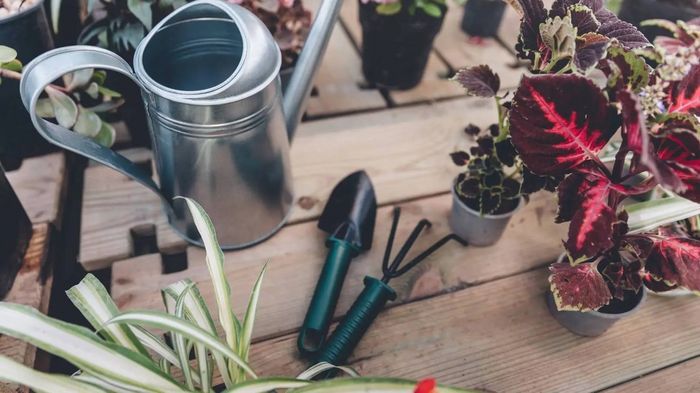 Почемучка: почему осенью желтеют листья? | Дом | WB Guru