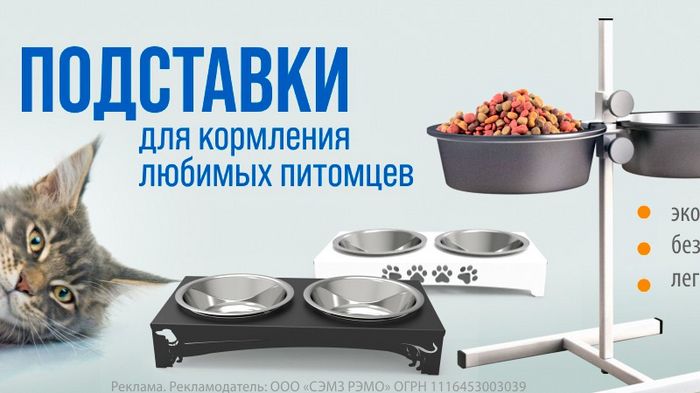 Как выбрать лучшую Подставку для кормления ваших домашних животных?