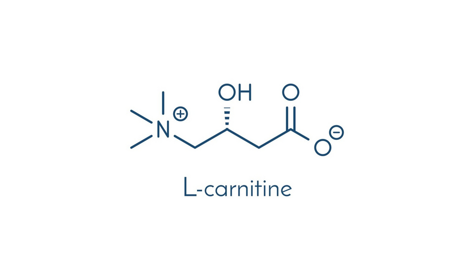 L carnitine Ozon