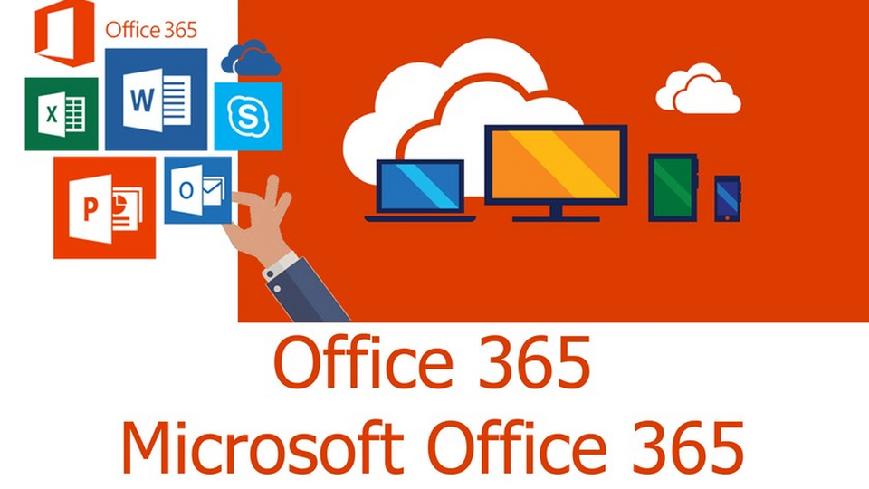 Все о Office 36 | Развлечения | WB Guru