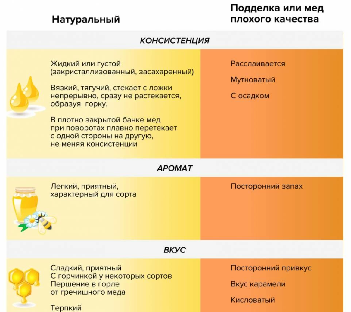 Сладкий вкус меда. Как выбрать мед. Как выбрать натуральный мед. Памятка по выбору меда. Выбираем правильный мёд.