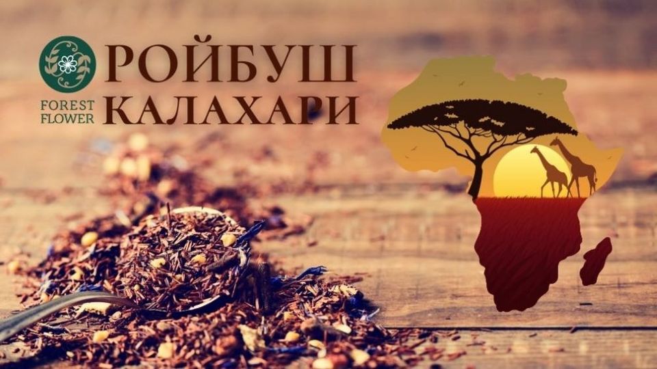 Ройбос — драгоценность знойного континента | Еда | WB Guru