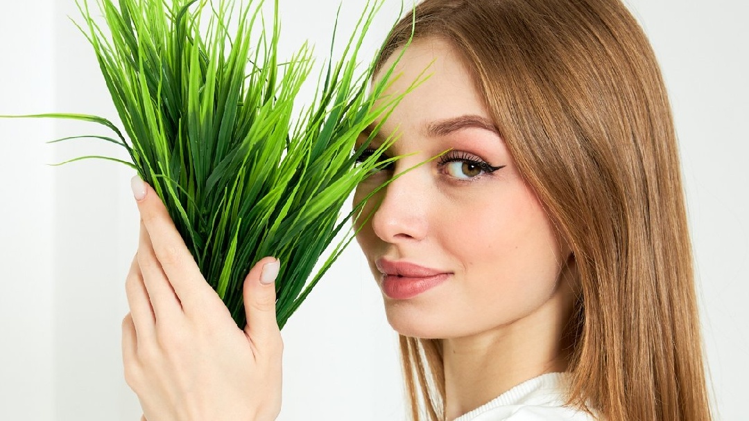 Страница автора Экора | WB Guru