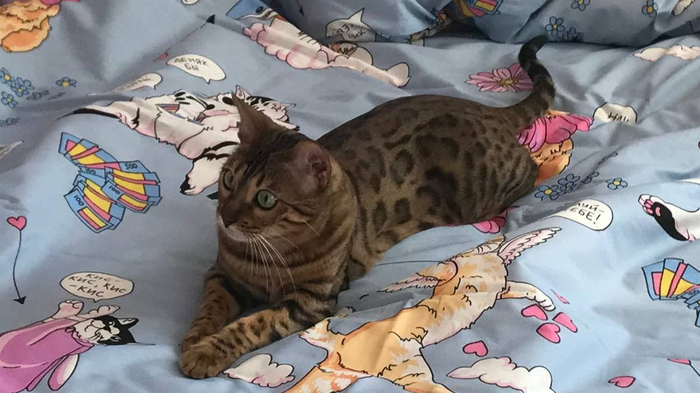 График стирки: как часто нужно стирать одежду и постельное бельё ...