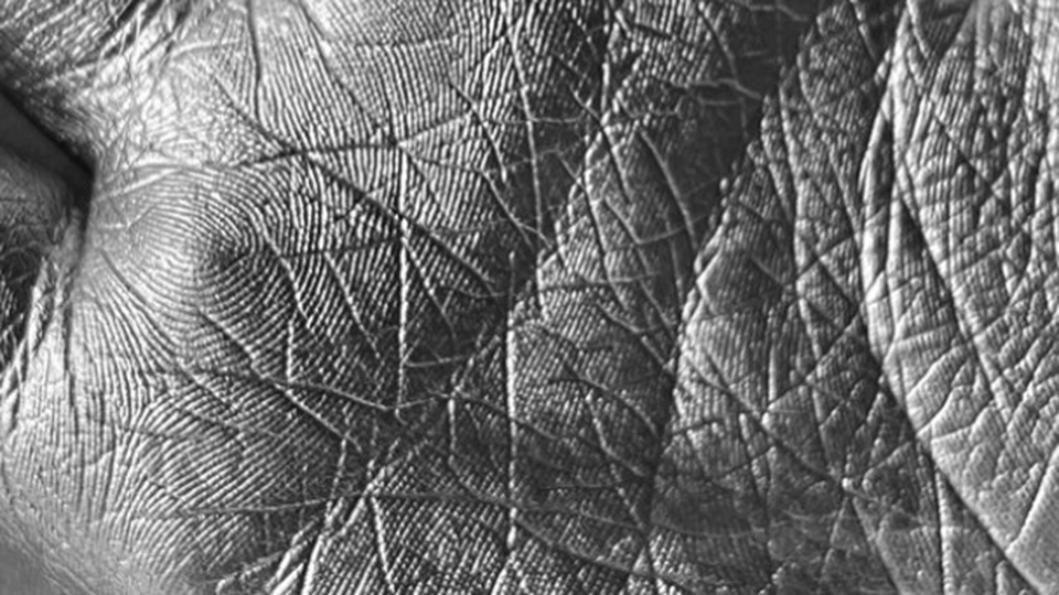 Что такое 3D слепок рук? | Развлечения | WB Guru