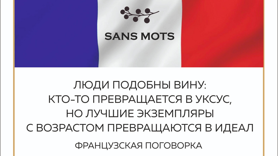 Sans mots. Картинка выражаю протест.